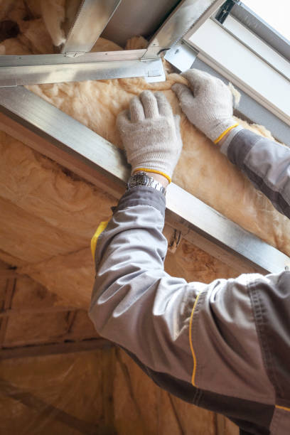 Best Eco-Friendly or Green Insulation Solutions  in Robins, IA